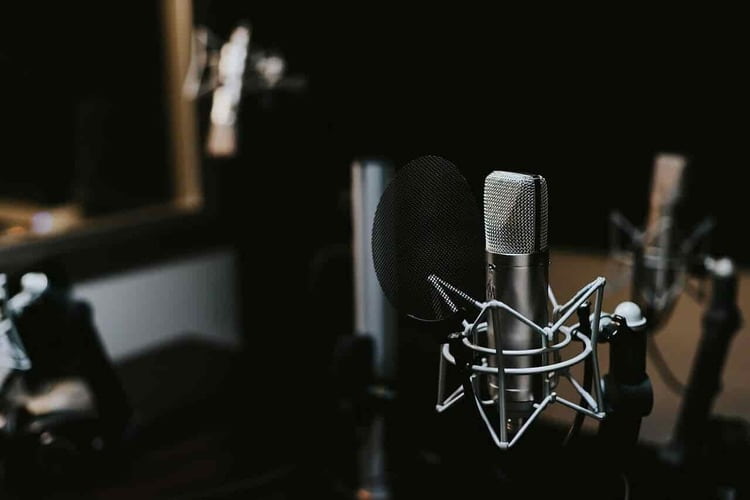 Professional studio microphone for vocal recording